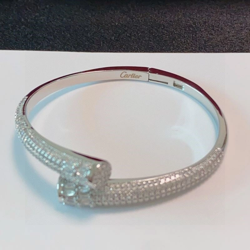Cartier Bracelets WeatherProof 217211