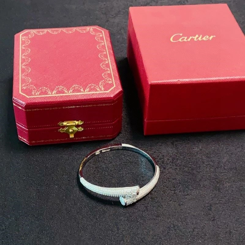 Cartier Bracelets WeatherProof 217211