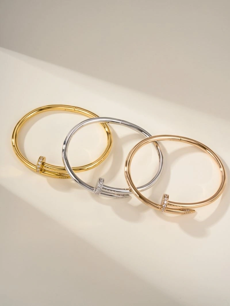Vibrant Cartier Bracelets 217218