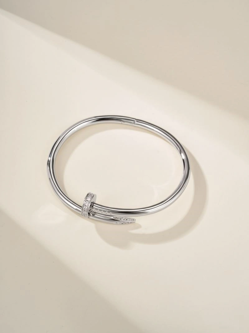 Vibrant Cartier Bracelets 217218
