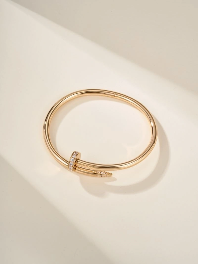 Vibrant Cartier Bracelets 217218
