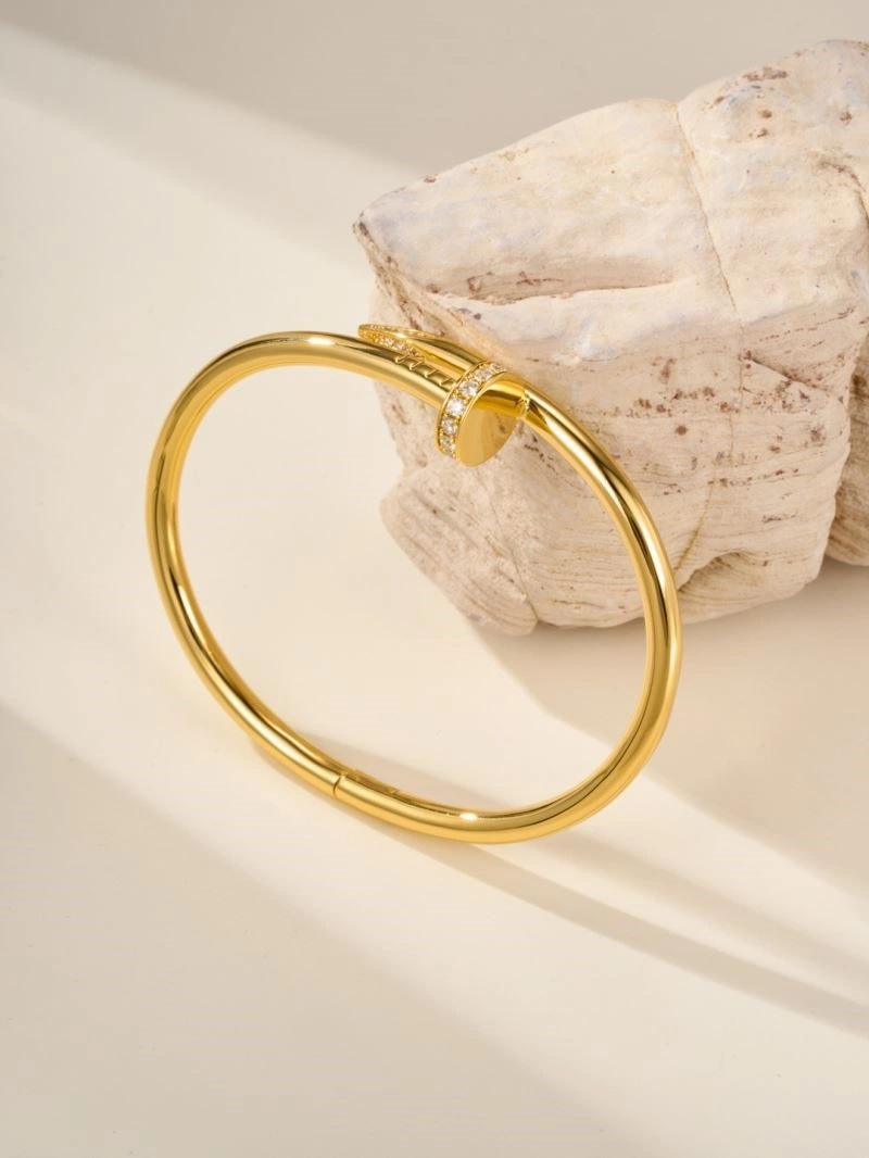 Vibrant Cartier Bracelets 217218