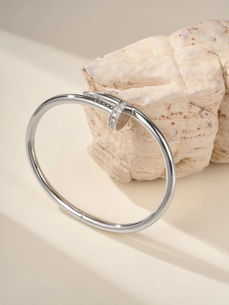 Vibrant Cartier Bracelets 217218