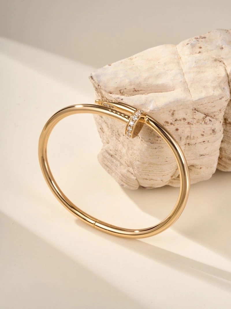 Vibrant Cartier Bracelets 217218