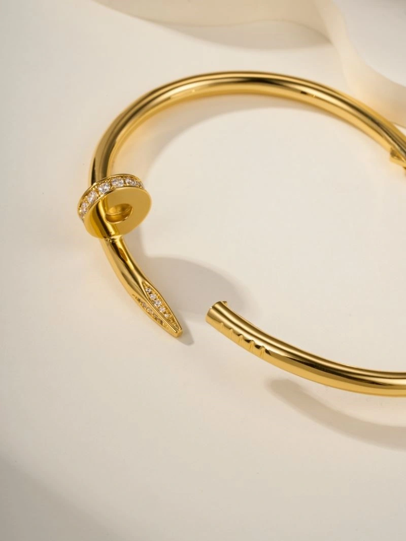 Vibrant Cartier Bracelets 217218