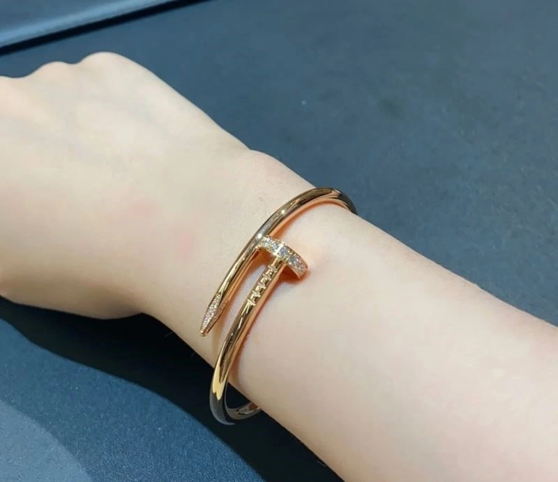 Cartier Bracelets Sustainable 217186