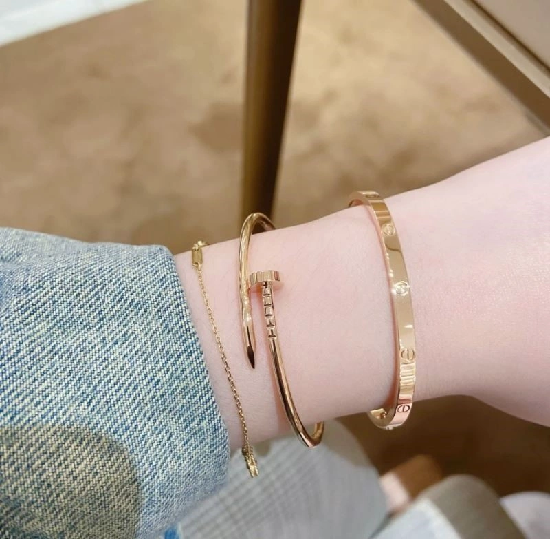 Cartier Bracelets ZipUp 217182