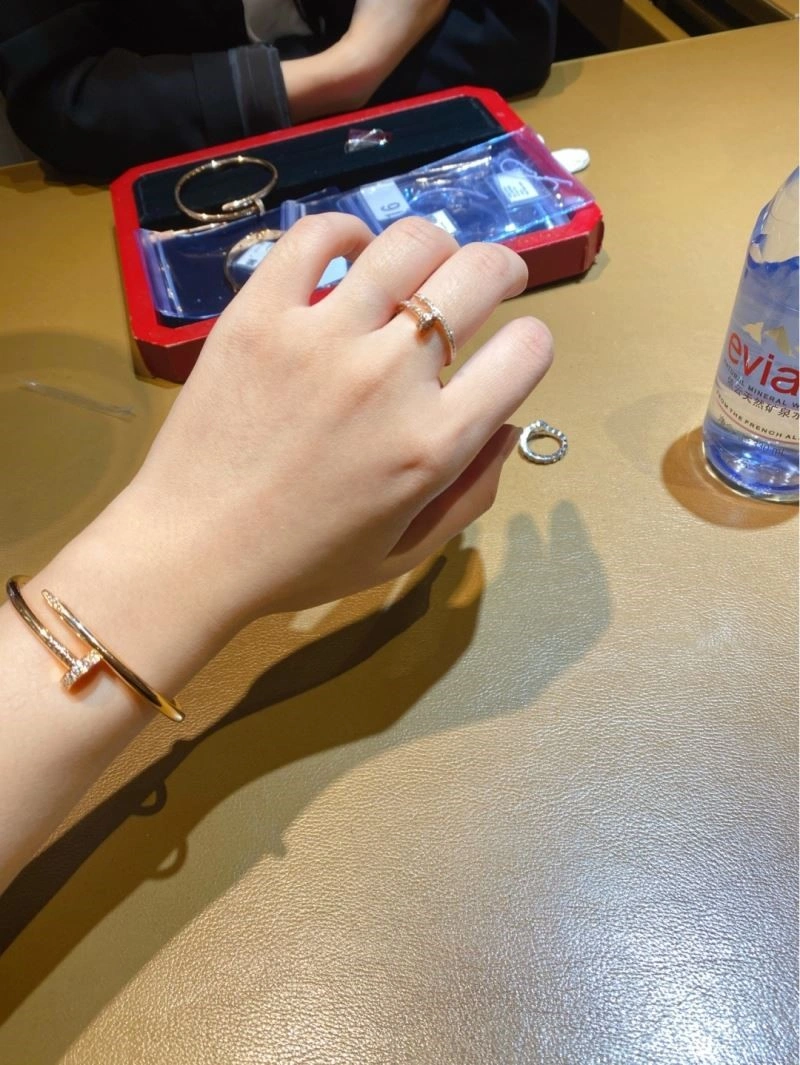 AllSeason Cartier Bracelets 217184