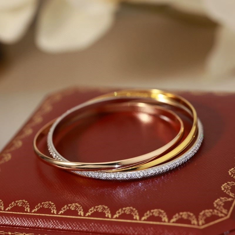 Cartier Bracelets DailyWear 217120