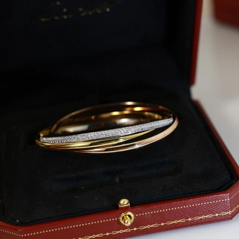 Cartier Bracelets DailyWear 217120