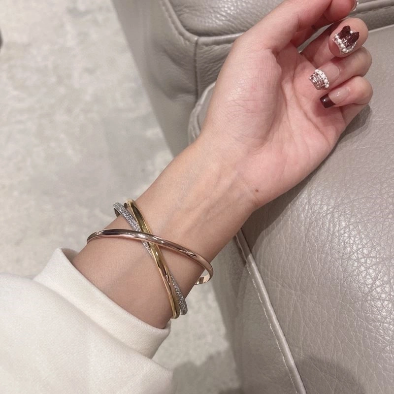 Cartier Bracelets DailyWear 217120