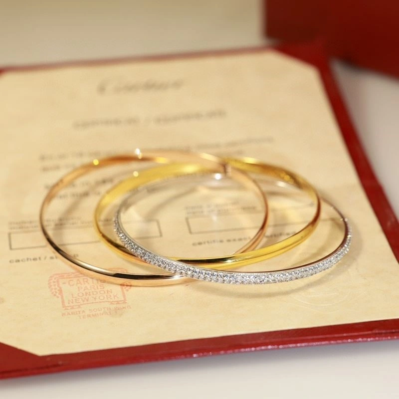 Cartier Bracelets DailyWear 217120