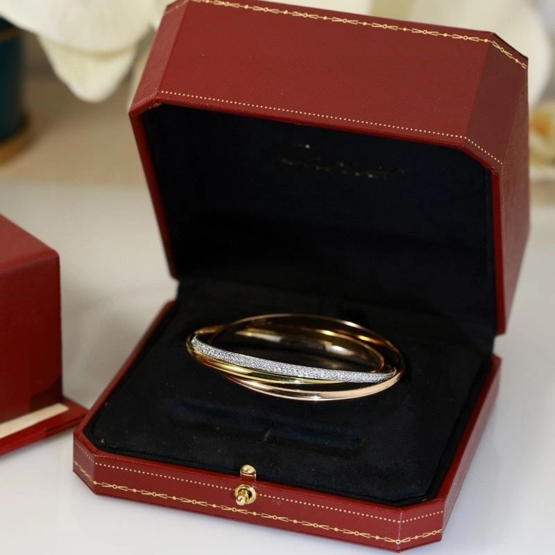 Cartier Bracelets DailyWear 217120
