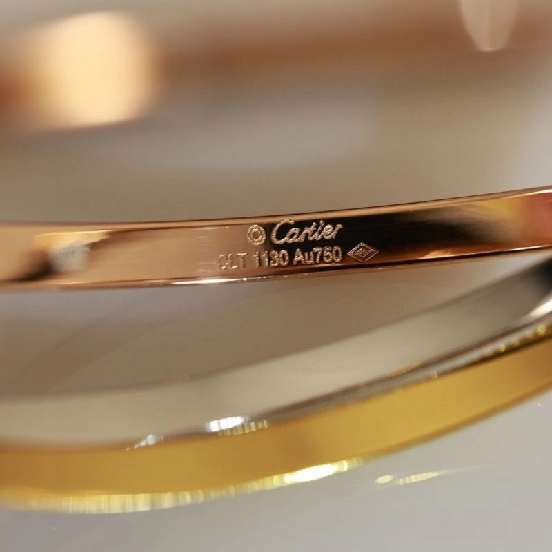 Cartier Bracelets DailyWear 217120