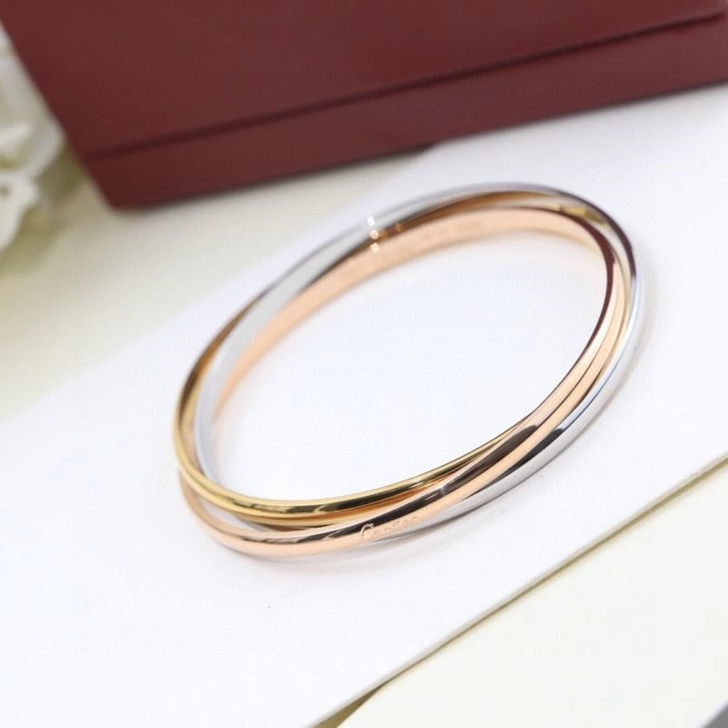Cartier Bracelets Thermal 217125