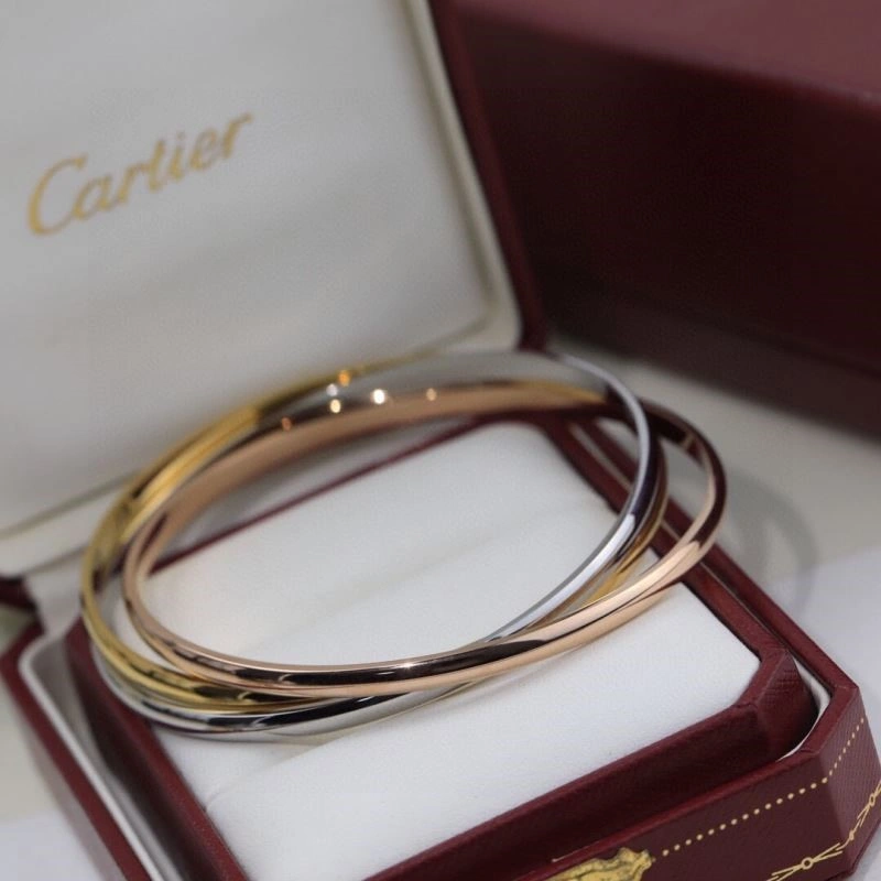 Cartier Bracelets Thermal 217125