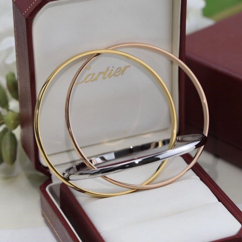 Cartier Bracelets Thermal 217125