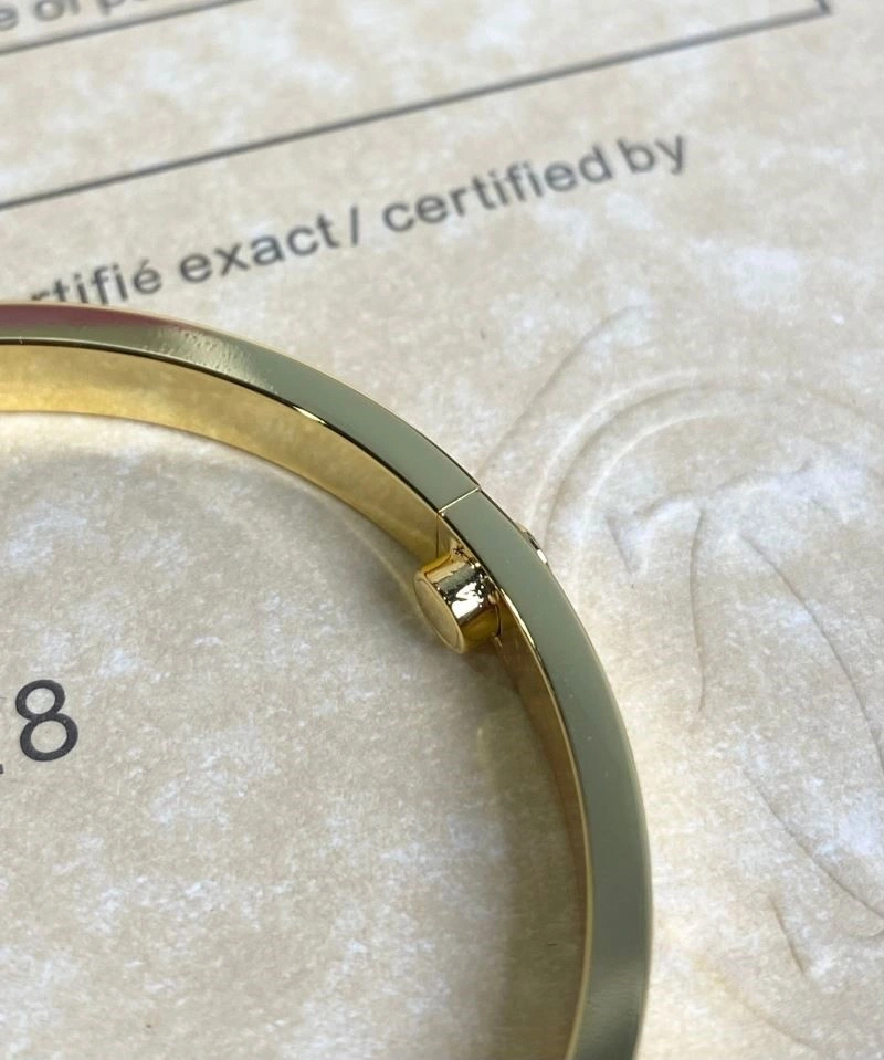 Cartier Bracelets WaterResistant 217129