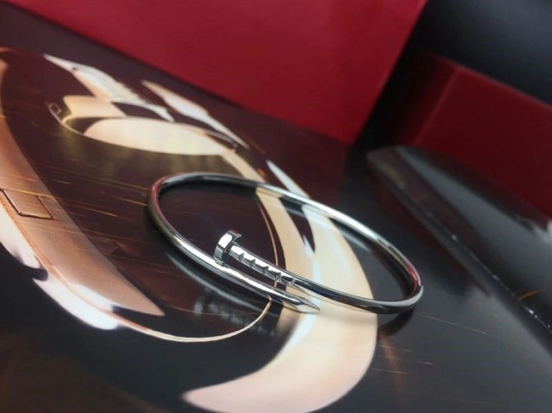 Cartier Bracelets Durable 217118