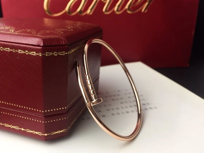 Cartier Bracelets Durable 217118