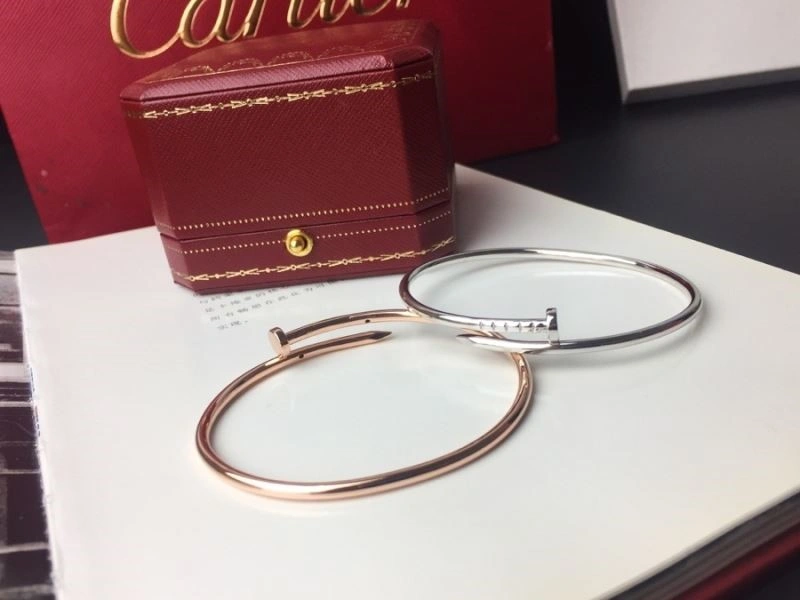 Cartier Bracelets Durable 217118