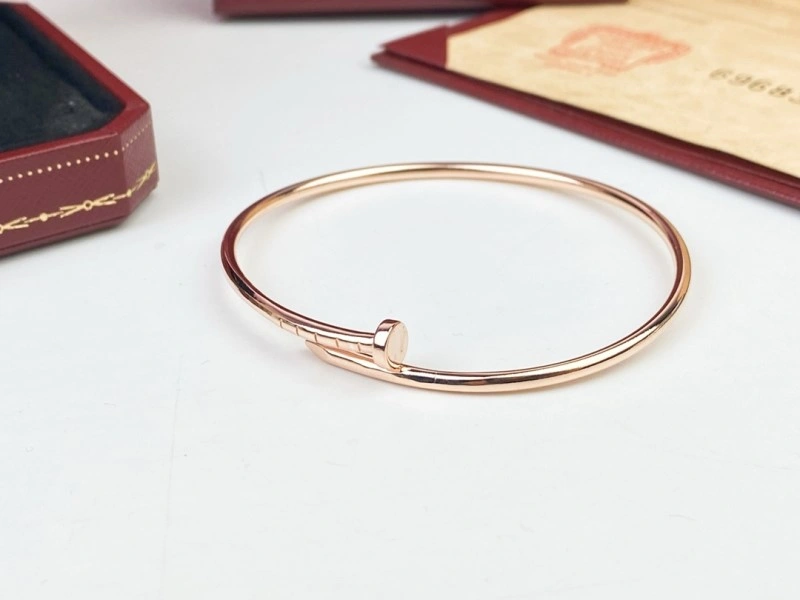 TravelReady Cartier Bracelets 217108