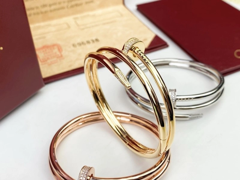 Cartier Bracelets Soft 217042
