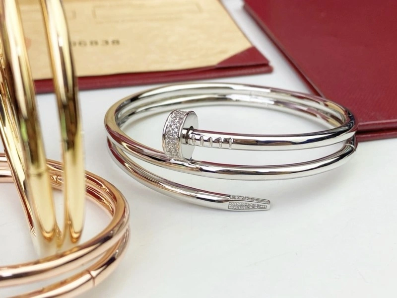 Cartier Bracelets Soft 217042