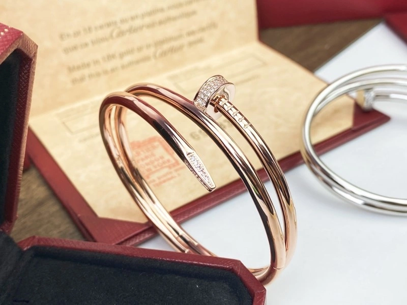 Cartier Bracelets Soft 217042