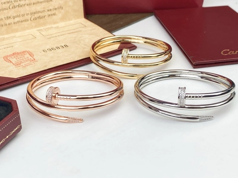 Cartier Bracelets Soft 217042