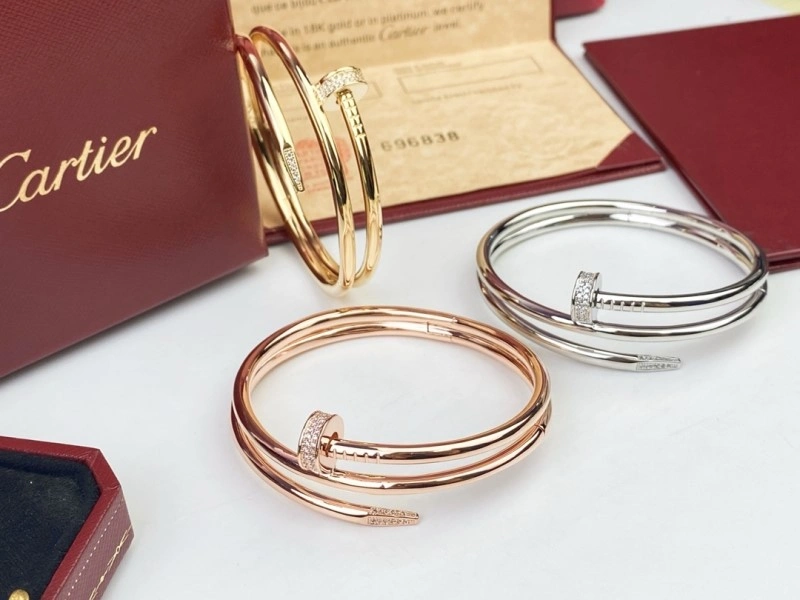 Cartier Bracelets Soft 217042