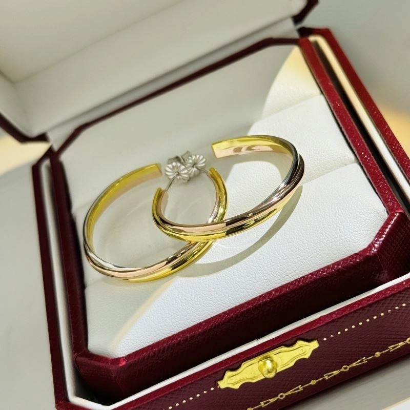 Cartier Earrings EasyMatch 217734