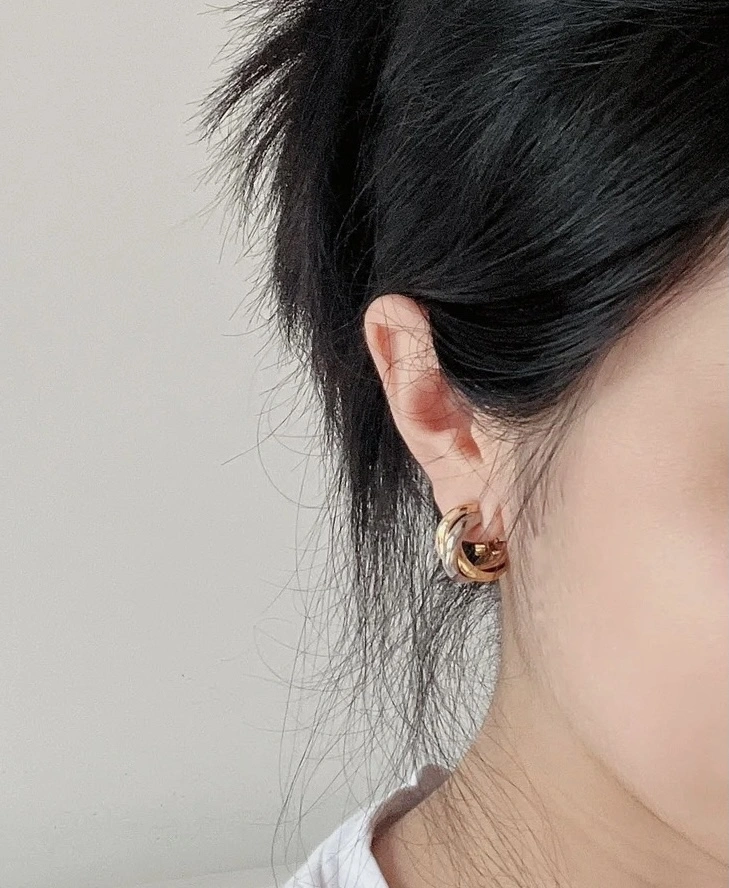 OnTrend Cartier Earrings 217710
