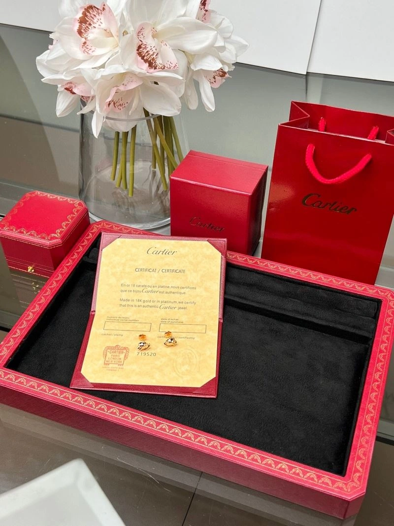 Cartier Earrings MultiPurpose 217569