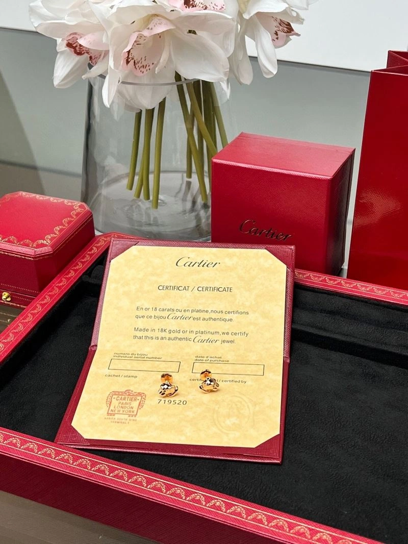 Cartier Earrings MultiPurpose 217569