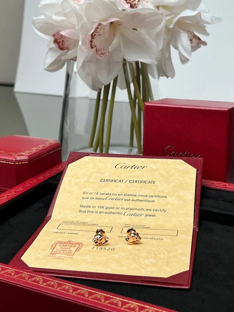 Cartier Earrings MultiPurpose 217569