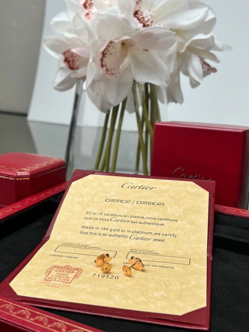 Cartier Earrings MultiPurpose 217569
