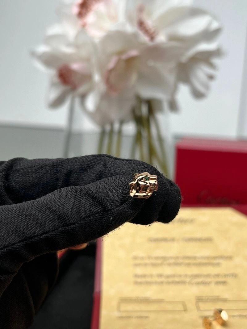 Cartier Earrings MultiPurpose 217569