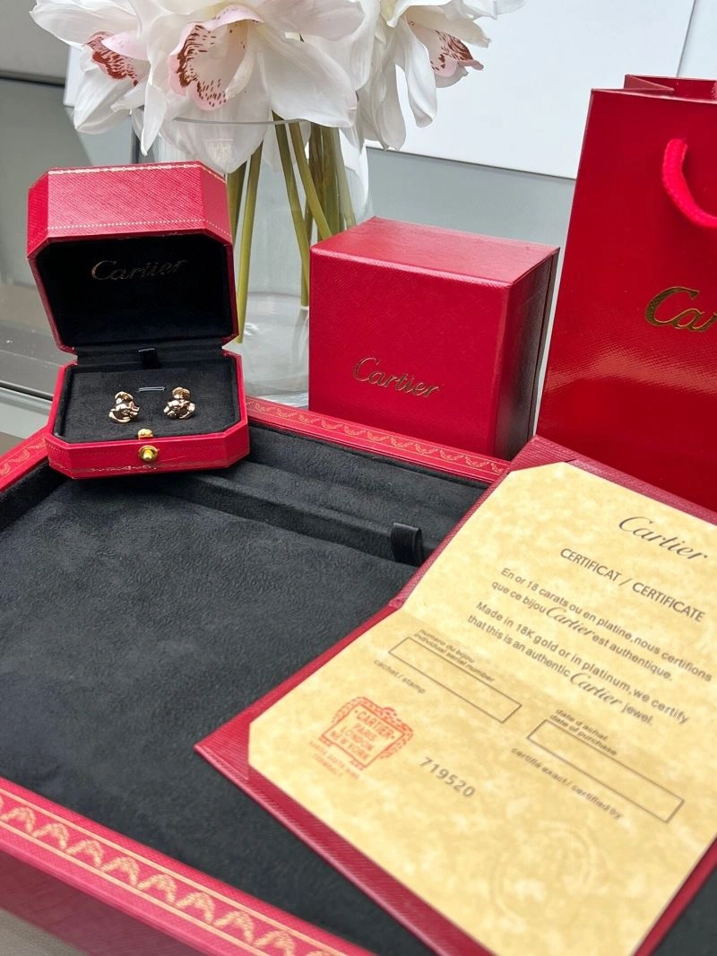 Cartier Earrings MultiPurpose 217569
