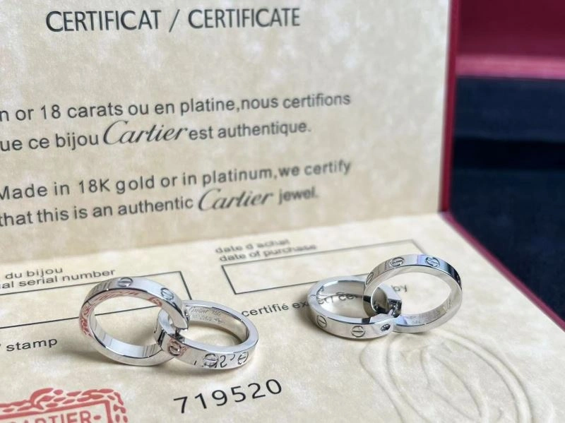 Cartier Earrings EasyCare 217543