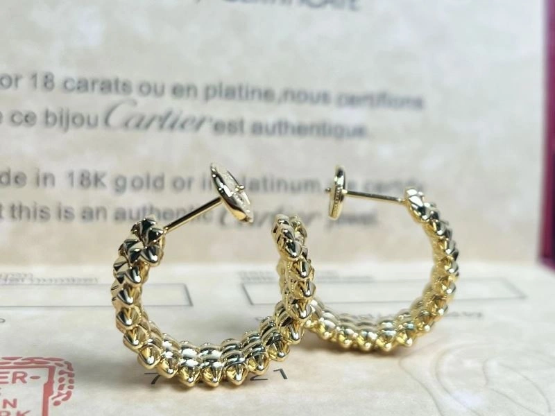 WellDesigned Cartier Earrings 217541