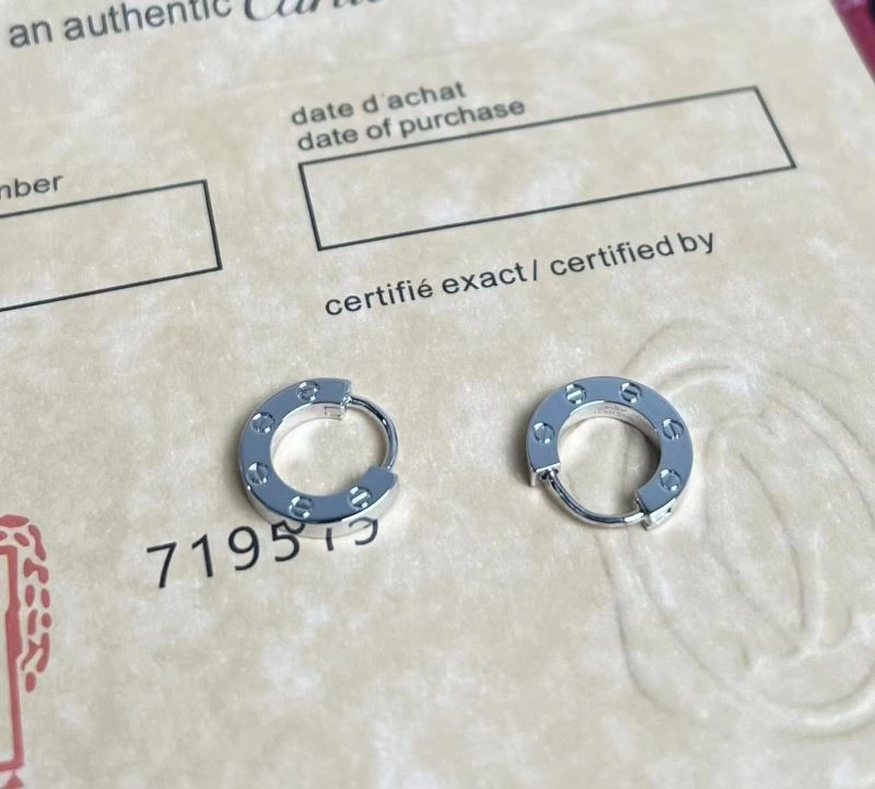Packable Cartier Earrings 217563