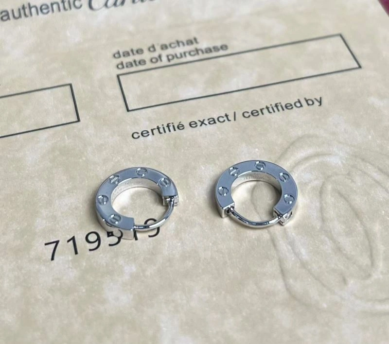Packable Cartier Earrings 217563