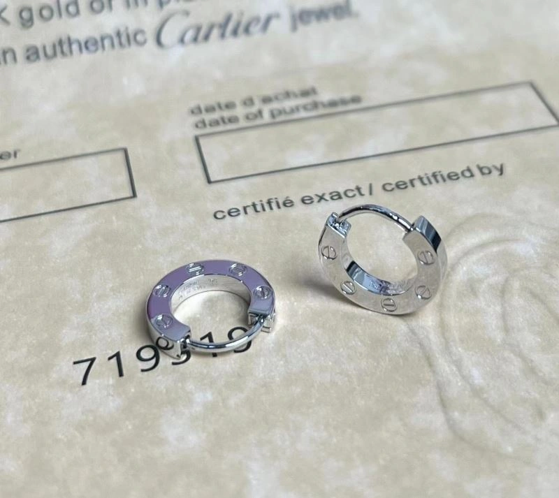 Packable Cartier Earrings 217563