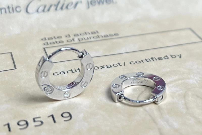 Packable Cartier Earrings 217563