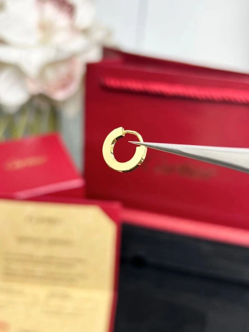 Cartier Earrings Affordable 217493