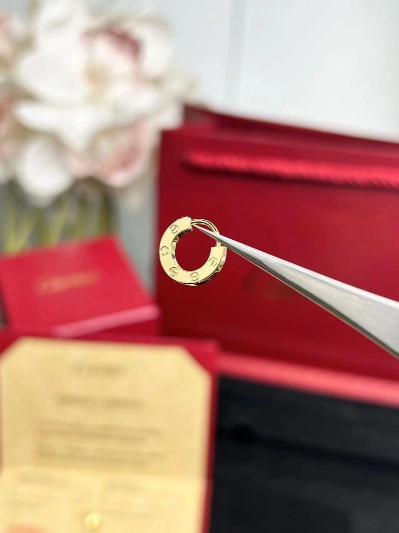 Cartier Earrings Affordable 217493