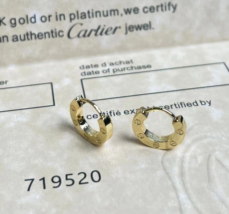 Cartier Earrings Affordable 217493