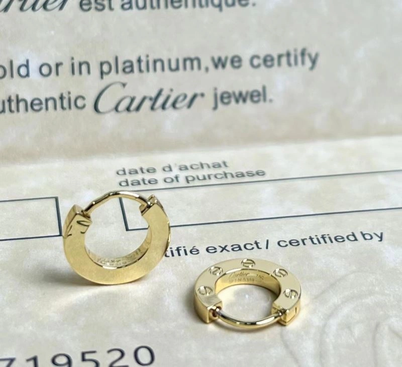 Cartier Earrings Affordable 217493
