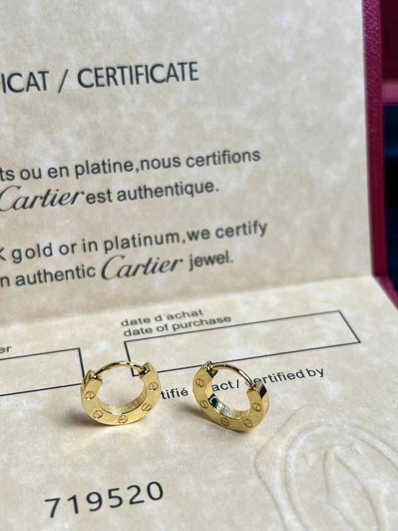 Cartier Earrings Affordable 217493